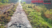 Kondisi Jalan yang menghubungkan dua Desa yakni Desa Sedayu menuju Desa Samustida, Kecamatan Teluk Keramat