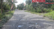 Jalan Berstatus Kabupaten Di Desa Pusaka Kecamatan Tebas Kondisinya Memprihatinkan