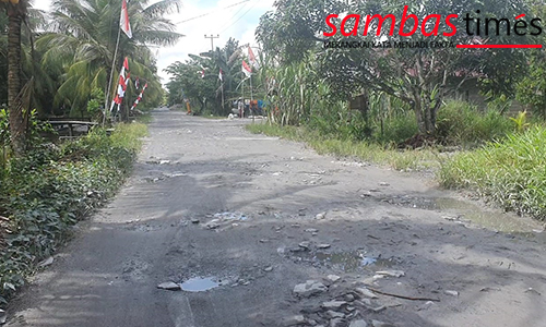 Jalan Berstatus Kabupaten Di Desa Pusaka Kecamatan Tebas Kondisinya Memprihatinkan