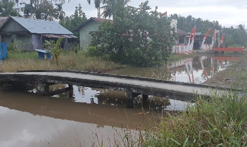 Sungai di Desa Sari Makmur yang mengalami pendangkalan, Rabu (31/8/2022) di Kecamatan Tekarang.