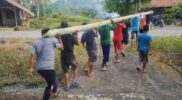 Warga gotong royong mendirikan Tiang Panjat Pinang untuk lomba anak-anak