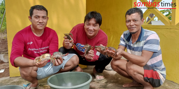 Pencari Kepiting bersama crew Sambas Times memperlihatkan hasil tangkapan Kepiting, Jumat (14/10/2022) di Sungai Bayuan.