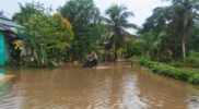 Kondisi Banjir di Desa Tebas Sungai,Kecamatan Tebas, Kabupaten Sambas