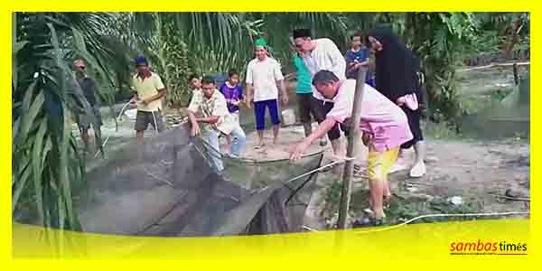 Wakil Ketua DPRD Sambas Ferdinan Syolihin saat meninjau lokasi budidaya lele di Desa Serindang.
