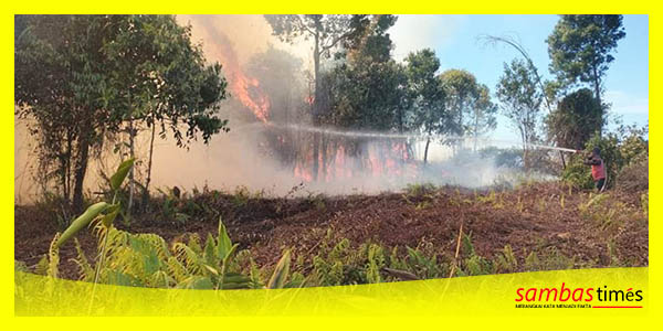 Dokumentasi Karhutla di Lahan Gambut, Desa Tri Mandayan, Kecamatan Teluk Keramat, Maret 2022, (Foto Rahmad Hidayat)