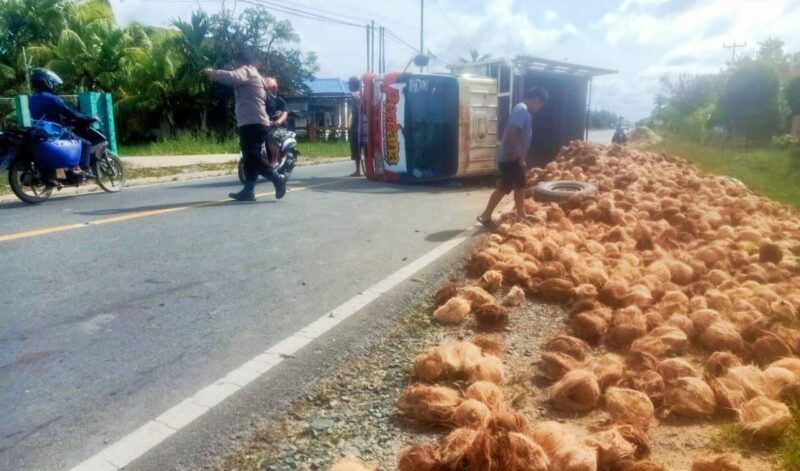 Truk pengangkut Kelapa terbalik di Jalan Perapakan, Pemangkat, menyebab buah kelapa berserakan di jalan, Rabu (15/2/2023).