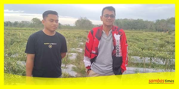 Wakil Ketua DPRD Sambas Ferdinan Syolihin didampingi Sabriyansah meninjau kokas Poktan Pemuda Millenial di Kecamatan Tekarang.