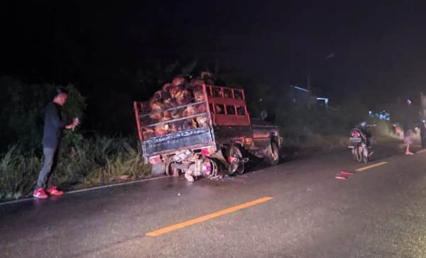 Sepeda motor masuk ke kolong mobil pick up pengangkut sawit, Kamis (2/3/2023) malam di Jalan Sutra Semparuk, Kabupaten Sambas