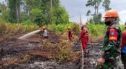 Dokumentasi Petugas memadamkan kebakaran lahan gambut beberapa tahun lalu di Desa Tri Mandayan, Kecamatan Teluk Keramat.