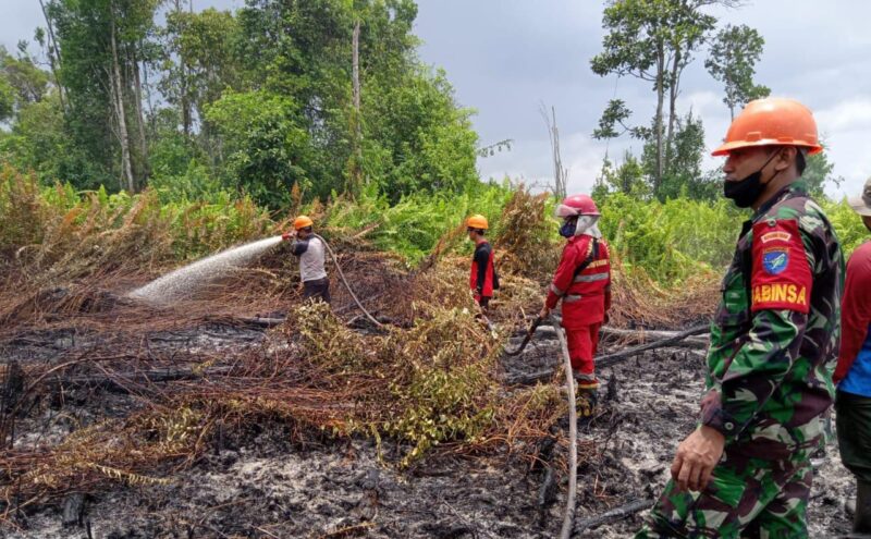 Dokumentasi Petugas memadamkan kebakaran lahan gambut beberapa tahun lalu di Desa Tri Mandayan, Kecamatan Teluk Keramat.