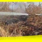 Salah satu kebakaran hutan dan lahan yang terjadi di Kabupaten Sambas.