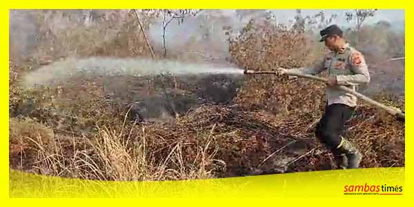 Salah satu kebakaran hutan dan lahan yang terjadi di Kabupaten Sambas.