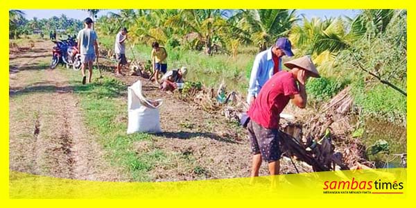 Warga Suah Api panen Buah Labu Suprema disepanjang tepi Jalan Usaha Tani, Sabtu (16/9/2023) di Kecamatan Jawai Selatan.