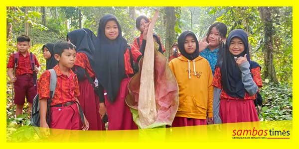 Pelajar SDN 16 Bekut antusias melihat Bunga Bangkai yang tumbuh di Bukit Cengal, Desa Sempalai, Kecamatan Sebawi, Kabupaten Sambas, Rabu (4/10/2023).