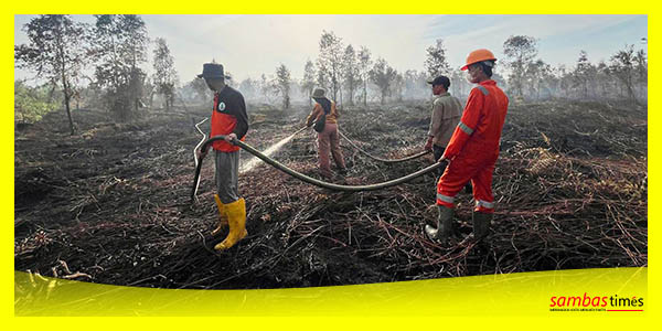 Kebakaran Hutan yang beberapa hari lalu terjadi di Lahan Gambut Desa Tri Mandayan, Kecamatan Teluk Keramat.