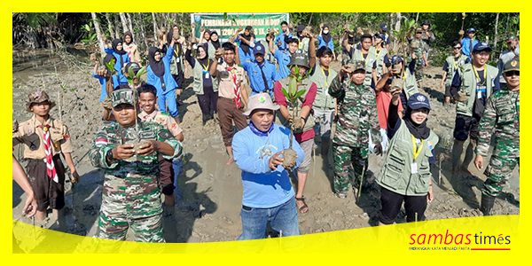 Danramil 08 Paloh bersama anggota, pelajar, Mahasiswa UGM dan Kelompok Pecinta Lingkungan Hidup menanam Mangrove, Jumat (26/7/2024).