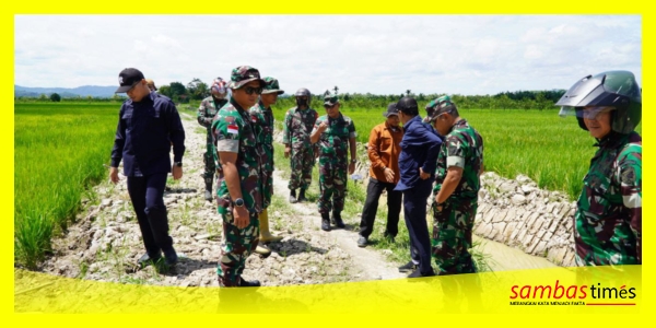 Dandim 1208 Sambas bersama Aster Kodam XII Tanjungpura dan Dinas Pertanian Monev Oplah di Kecamatan Tebas, Kabupaten Sambas, Kamis (8/8/2024). 
