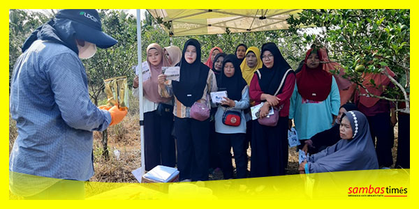 Expo pertanian yang dilaksanakan Pemerintah Desa Merpati, Kecamatan Tangaran, Jumat (16/5/2025).