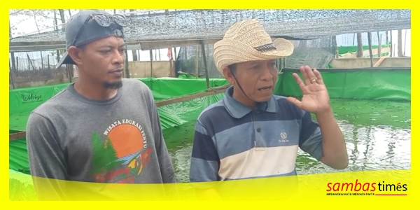 Muraizi Ketua Pokdarwis Tanjung Api bersama Ical anggota dilokasi penampungan Tukik untuk persiapan Rekor MURI pelepasan 17 Ribu Tukik di Pantai Tanjung Api, Desa Sebubus, Kecamatan Paloh, Minggu (20/9/2025).