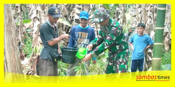 Dansatgas TMMD ke-126 Kodim 1208 Sambas Letkol Czi Priyo Hindrarto menyirami pohon durian yang di tanam di lokasi TMMD Regtas ke-126 di Desa Ratu Sepudak, Selasa (21/10/2025).