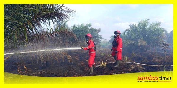 Tim Daops Manggala Agni Kalimantan IX/Singkawang berupaya memadamkan Kebakaran Hutan dan lahan, Senin (19/01/2026).
