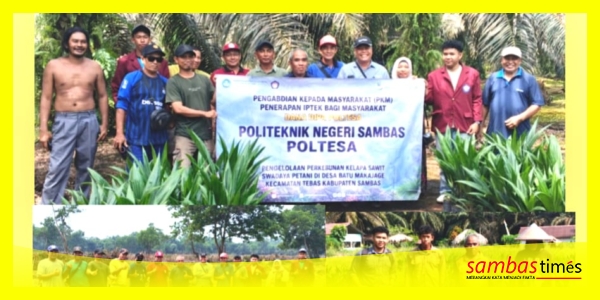 Tim PKM Poltesa bersama Kelompok Tani Maju, Desa Batu Makjage, Kecamatan Tebas, Kabupaten Sambas.