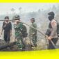 Petugas Patroli Gabungan berupaya memadamkan Kebakaran Hutan dan Lahan (Karhutla) di TWA Nibung, Kecamatan Paloh, Kabupaten Sambas, Kamis (3/9/2026).
