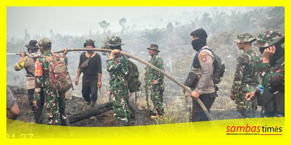 Petugas Patroli Gabungan berupaya memadamkan Kebakaran Hutan dan Lahan (Karhutla) di TWA Nibung, Kecamatan Paloh, Kabupaten Sambas, Kamis (3/9/2026).