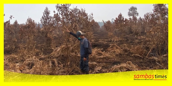 Pengurus KUPS Intuyut Jaya Lestari Tri Mandayan melihat Taman Wisata Gambut yang terdampak Karhutla pada kebakaran lahan tahun 2026.