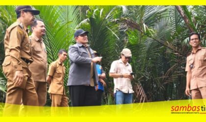 Wakil Bupati Sambas Heroaldi